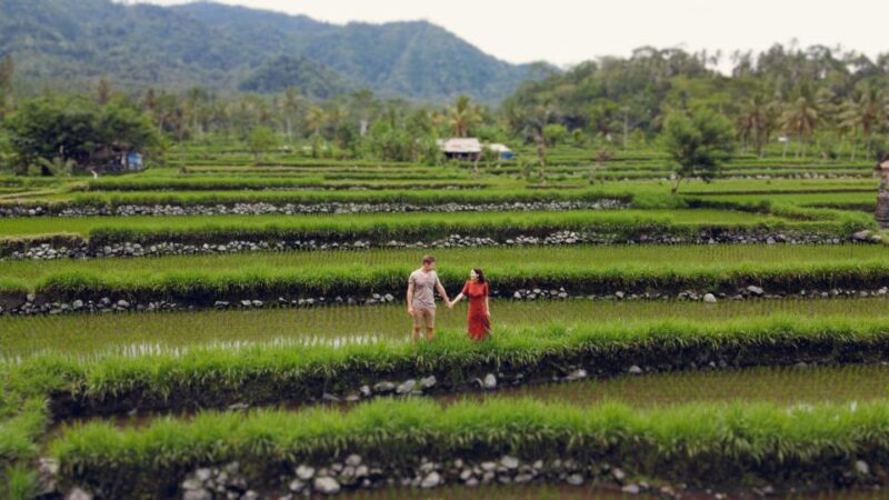Private Car Tour With Guide - Experience Highlights