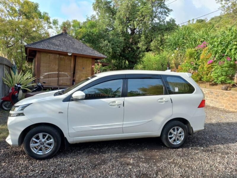 Private Car Tour With Guide - Itinerary Details