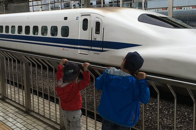 Private Car Transfer From Narita Airport to Tokyo - Availability and Timing