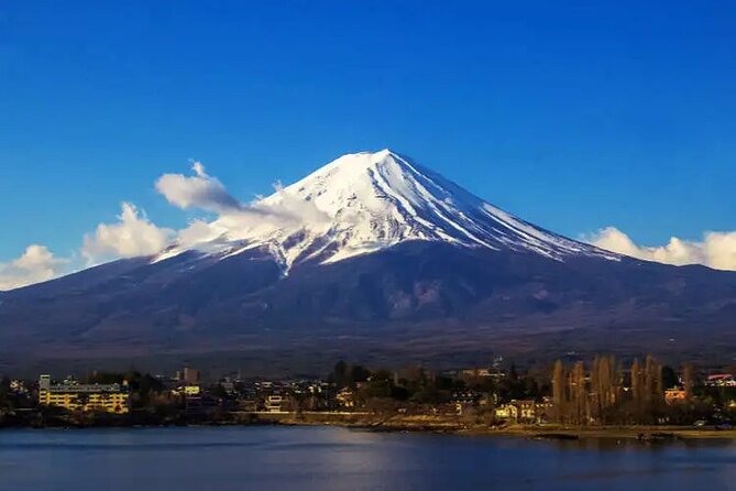 Private Car/Van Charter Full Day Tour MT Fuji And Hakone, (Guide) - Customer Reviews