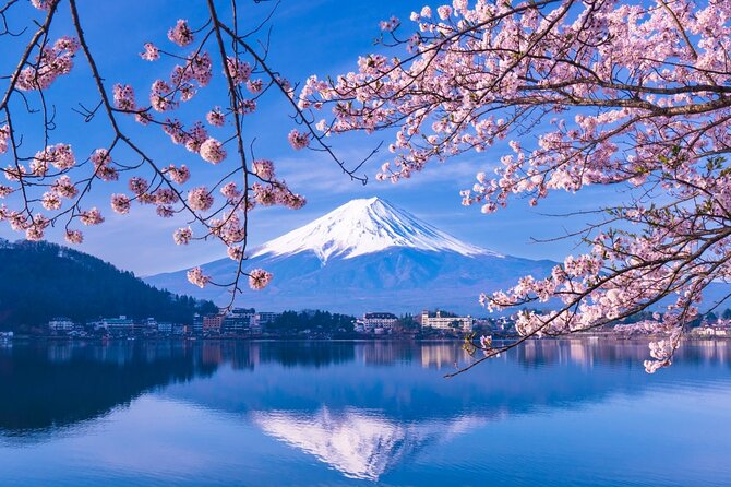 Private Car/Van Charter Full Day Tour MT Fuji And Hakone, (Guide) - Additional Information
