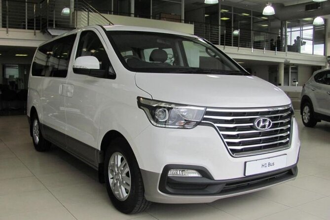 Private Car With Professional Driver Will Be With You Full Day - Accessibility and Comfort
