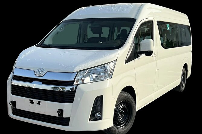 Private Car With Professional Driver Will Be With You Full Day - Itinerary Suggestions and Local Tips
