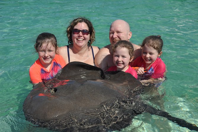 Private Caribbean Snorkeling Cruise At Punta Cana & Sharks, Stingray Encounter - Snorkeling and Marine Life Encounters