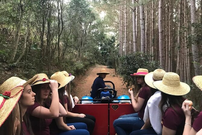 Private Carriage Ride in Flores Da Cunha - Key Points