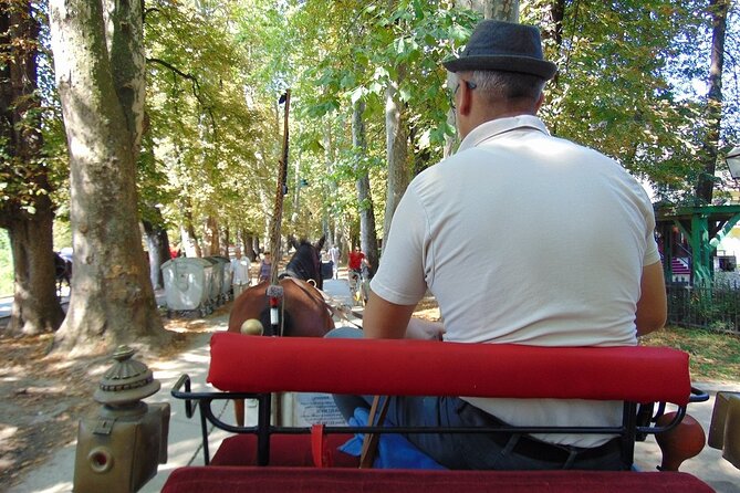 Private Carriage Ride in Vrelo Bosne Nature Park - Experience Overview
