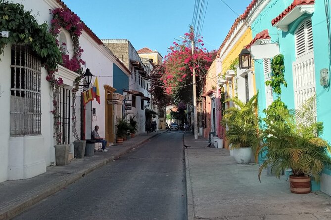 Private Cartagena City and Street Food Tour. - Cartagenas Vibrant Culture