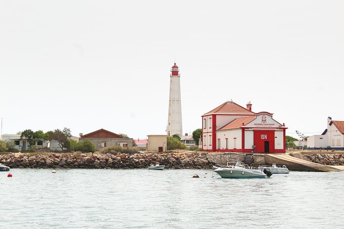 Private Catamaran Boat Tour - Ria Formosa - Ria Formosa Lagoon