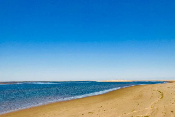 Private Catamaran Boat Tour - Ria Formosa - Private Boat Experience