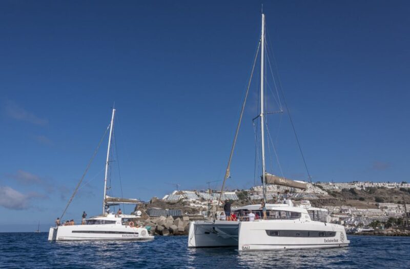 Private Catamaran Charter in Puerto Rico, Gran Canaria - Included Features