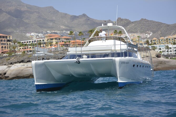 Private Catamaran Charter With Transfer, Buffet and Snorkeling - Inclusions and Amenities