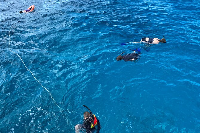 Private Catamaran Cruise and Snorkeling Tour in Honolulu - Accessibility and Participation