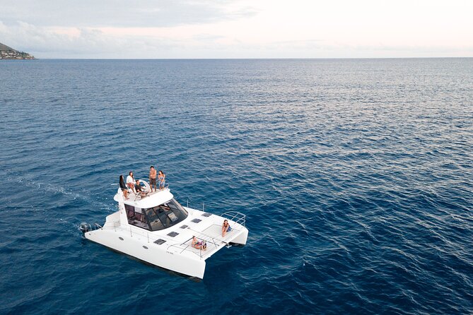 Private Catamaran Cruise and Snorkeling Tour in Honolulu - Wildlife Viewing Opportunities