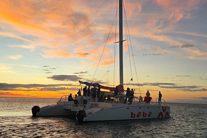 Private Catamaran Cruise to Bahia de las Aguilas - The Sum Up