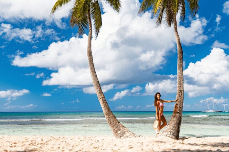 Private Catamaran Excursion to Isla Saona From Punta Cana - Gourmet Buffet Dining