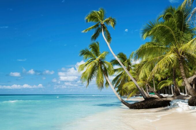 Private Catamaran Excursion to Isla Saona From Punta Cana - Private Guide Assistance