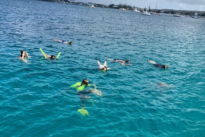 Private catamaran sail & snorkel - Key Points