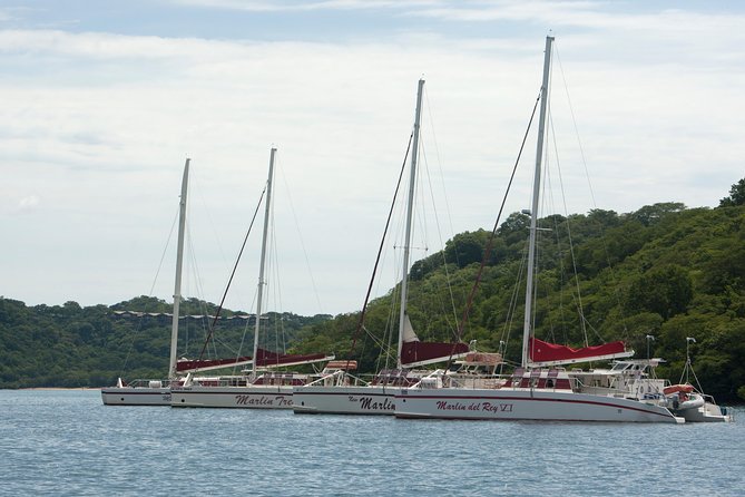 Private Catamaran Sailing Tour - Tour Overview