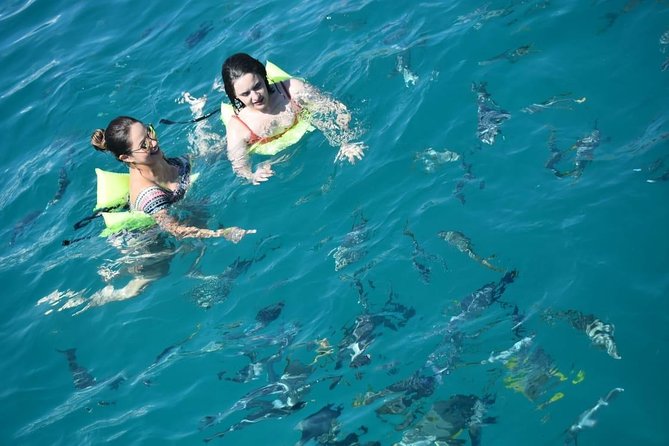Private Catamaran Snorkeling Cruise in Los Cabos - Traveler Reviews