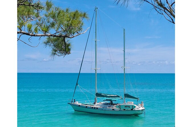 Private Catamaran Swim Sail Snorkel Cliff Jumping SUP - Flexible Start Times and Sunset Cruises