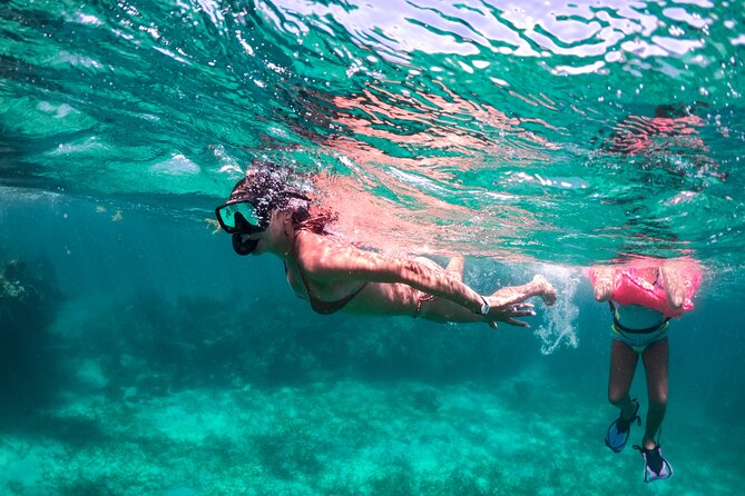 Private Catamaran Tour of Punta Cana - Accessibility and Participation