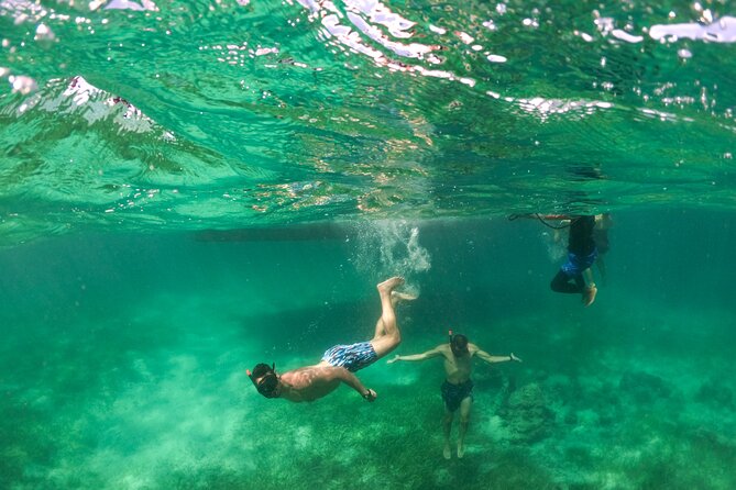 Private Catamaran Tour of Punta Cana - Pickup and Transportation