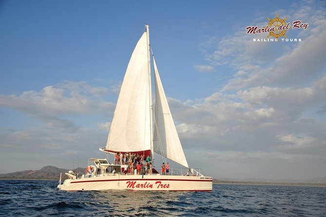 Private Catamaran Tour on Marlin Del Rey - Wildlife and Activities