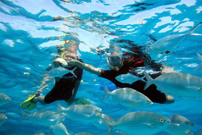 Private Catamaran Trips to Lobos Island in Lagoon 400 - Customization Options