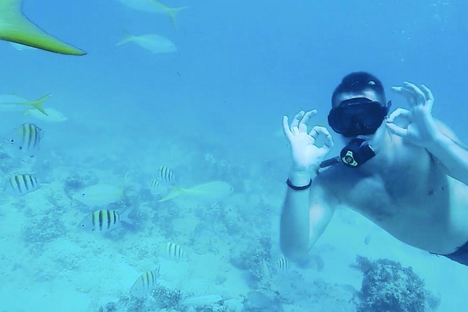 Private Catamaran With Parasailing / Snorkeling / Hooka Diving - Reviews and Ratings