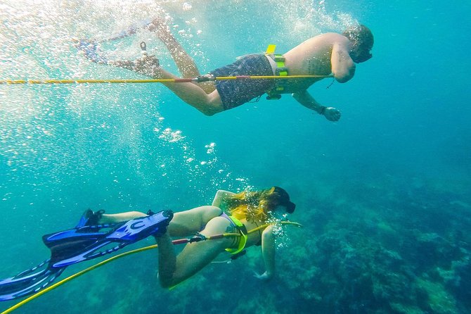 Private Catamaran With Parasailing / Snorkeling / Hooka Diving - Catamaran Cruise Details