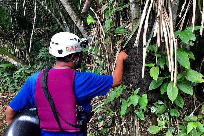 Private Cave Tubing and Zip Line Adventure Shore Excursion Tour Belize - Key Points