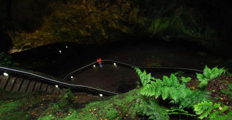 Private Caves Tour With a Geologist - Customer Reviews and Feedback