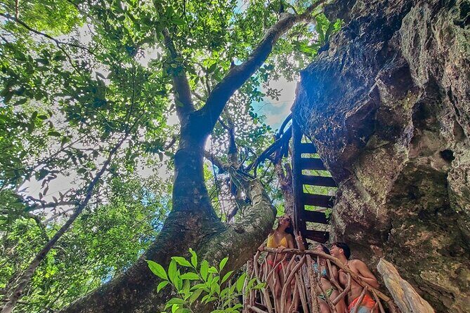 Private Cenote Experience, swim in the heart of the Mayan Jungle - What to Expect from the Private Cenote Experience