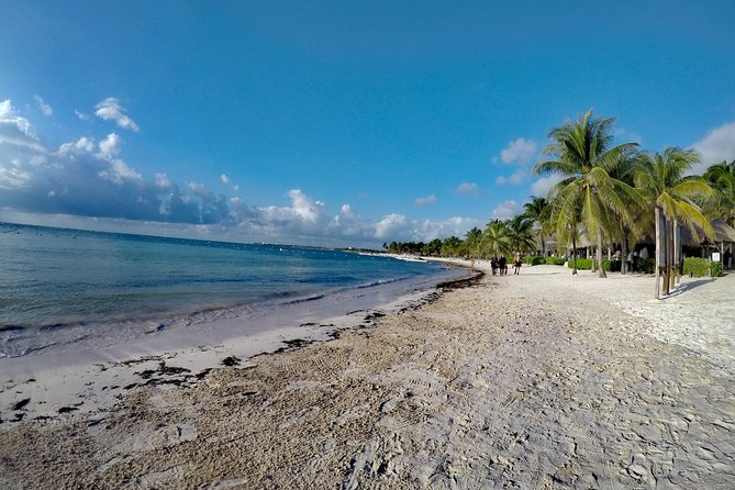 Private Cenote & Snorkeling Tour With Turtles in Akumal - Snorkeling Adventure