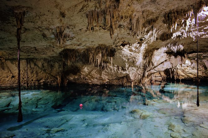 Private Cenote & Snorkeling Tour With Turtles in Akumal - Physical Requirements