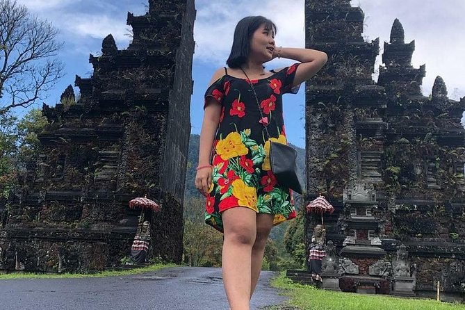 Private Central Bali Tour - Driver Profiles