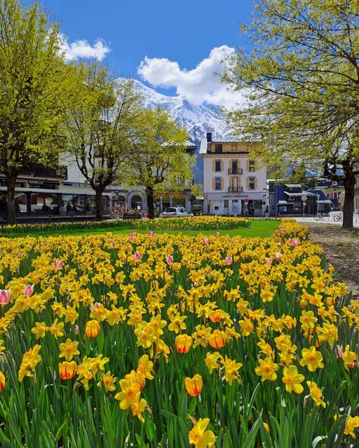 Private Chamonix Transfers (1-8 People) - Pricing and Duration