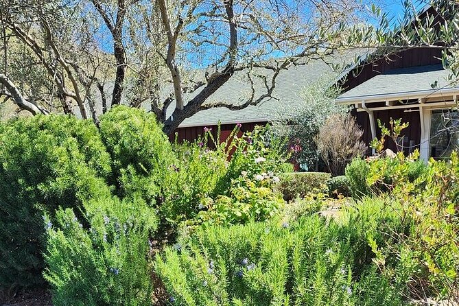 Private Champagne and Wine Tour to Sonoma and Napa - Booking and Cancellation Policies