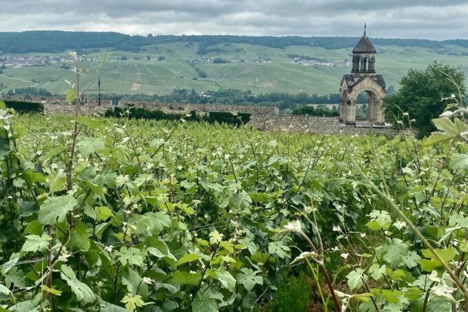 Private Champagne De Castellane, Mercier Cellars From Paris - Highlights of the Champagne Houses