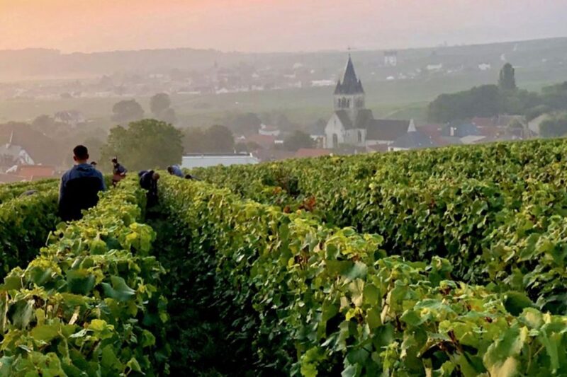 Private Champagne Moet Chandon, Pommery, Pressoria Day Trip - Champagne House Experiences
