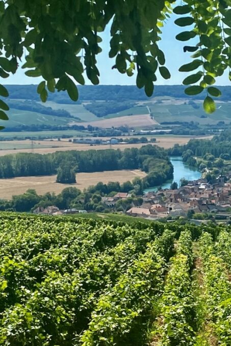 Private Champagne Moët & Chandon, Veuve Clicquot by Mercedes - Champagne Tour Pricing and Inclusions