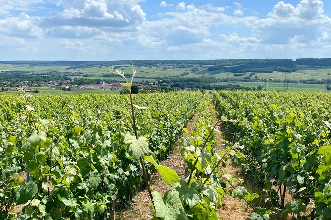 Private Champagne Moet & Chandon, Veuve Clicquot Trip From Paris - Ideal for Couples and Groups