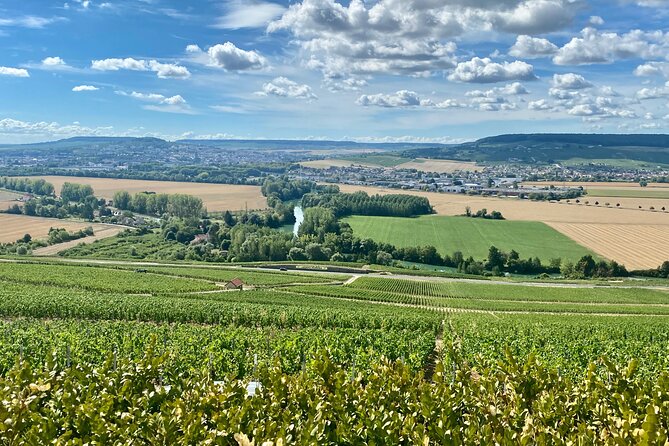 Private Champagne Moët & Chandon, Veuve Clicquot Trip With Lunch - Champagne Cellar Experiences