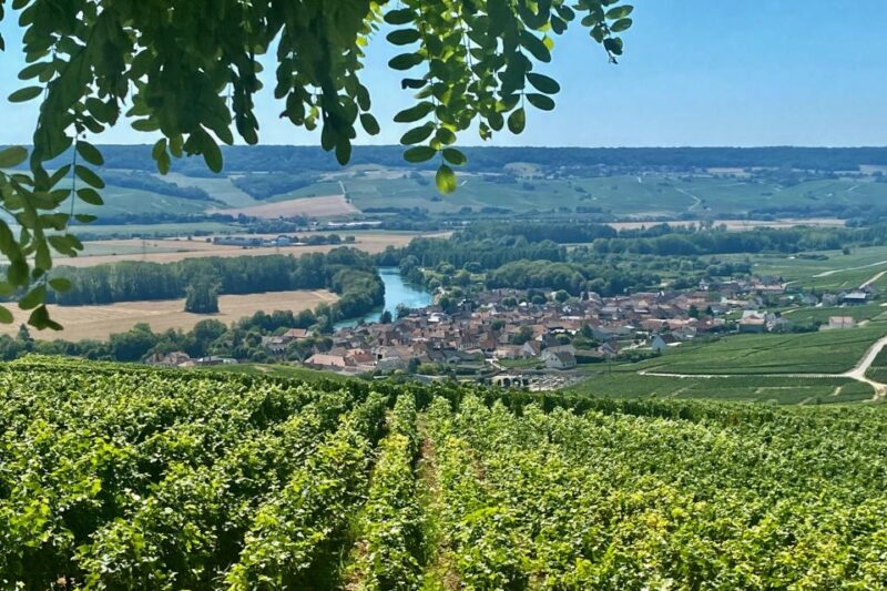 Private Champagne Ruinart, Moet Chandon VIP Tour by Mercedes - Hautvillers Visit