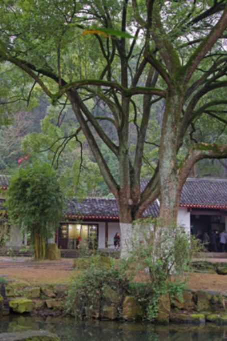 Private Changsha City Highlights Tour With Guide - Cancellation and Refund Policy