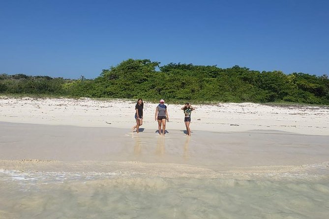 Private Charles Darwin Station Tour &Tortuga Bay Beach With Lunch - Observing Galapagos Wildlife in Natural Habitat