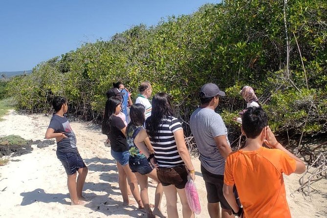 Private Charles Darwin Station Tour &Tortuga Bay Beach With Lunch - Optional Kayaking in Tortuga Bay