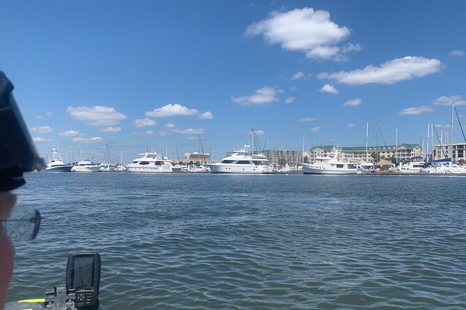 Private Charleston Harbor Cruise - What to Expect