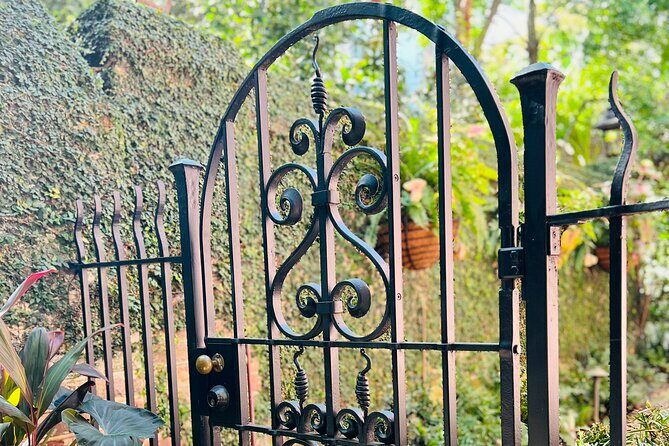 Private Charleston Hidden Alleys and Pathways Walking Tour - Authentic Experiences and Traveler Feedback