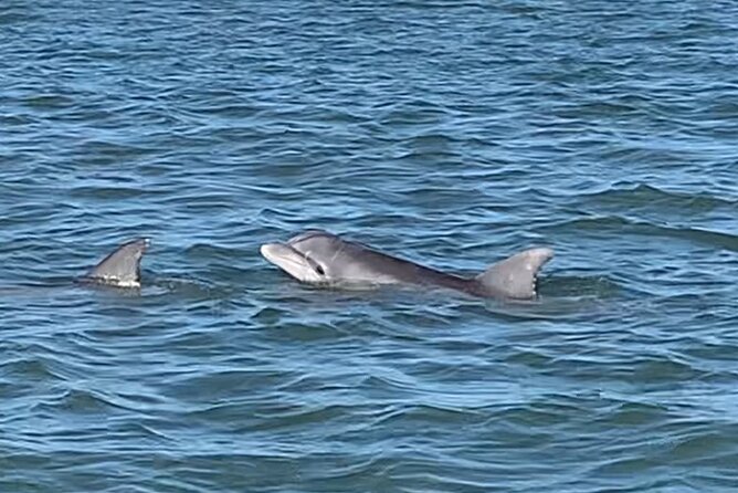 Private Charleston Sunset & Dolphin Cruise - Customer Experiences